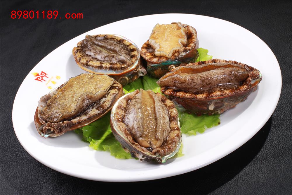 大连鲍